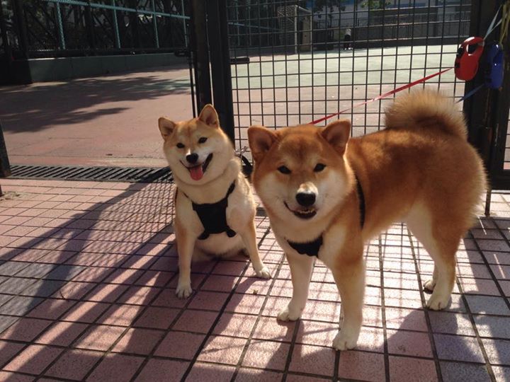 青春风暴！马丁内利导演绝境翻盘，黄色潜水艇惊险逆转雷恩！